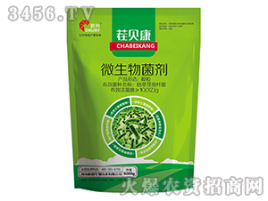 ΢�������-��ؐ��-����