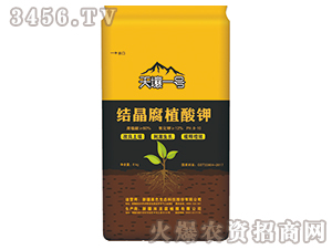 �Y(ji��)����ֲ���-����һ̖(h��o)-��ɫ���B(t��i)