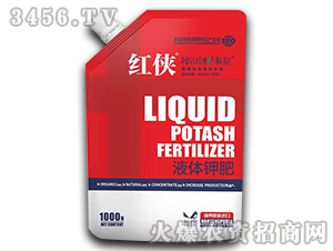 Һ�w⛷�-�t�b-����