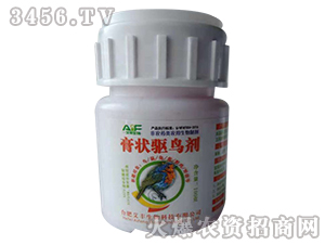 ����(q��)�B��-���S����