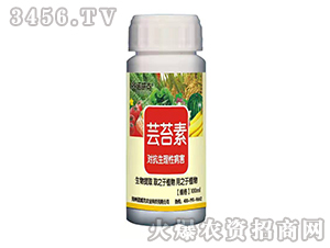 1000ml�|̦��-�Z����