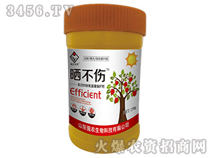 �������ЙCƤĤ���o��-�񲻂�-���r(n��ng)����