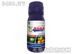 ����΢�������-�̝��^��-���r(n��ng)����