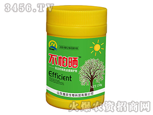 �������ЙCƤĤ���o��-���r