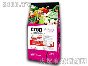 �����a�}���_ʩ��-�����f��