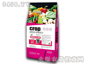 �����n������S�a(ch��n)�_ʩ��-�����f��