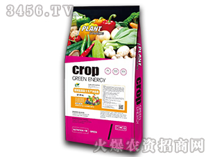 �����n������S�a(ch��n)�_ʩ��-�����f��