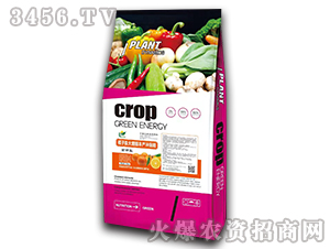 ������������S�a�_ʩ��-�����f��