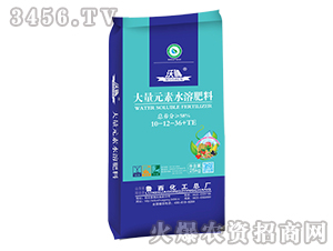 ��ꖌ�ϵ�д���Ԫ��ˮ�ܷ���10-12-36+TE-��������