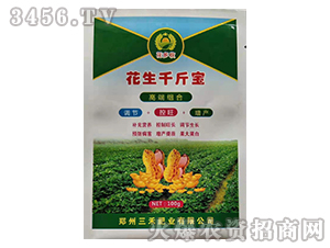 ����ǧ�-������-���̷ʘI(y��)