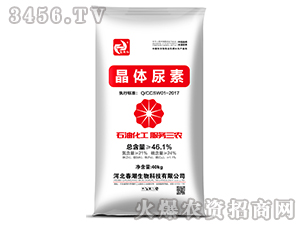 ���w����-����