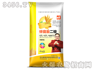 �\������@19-26-12-�����t-����