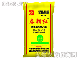 �����t19-24-12-����