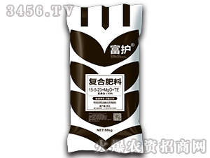 ������͏�(f��)�Ϸ���15-5-23+MgO+TE-���o(h��)-����