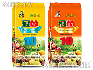 ΢�������-�ھ�-����