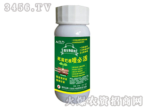 ���砀�����ػ�-�����r��