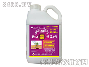 �M(j��n)�ڸ�������2̖(h��o)-�����r(n��ng)��