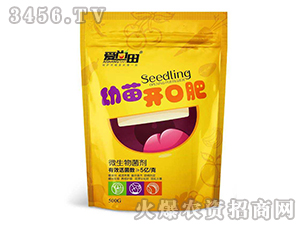 �����_�ڷ�-������-�������