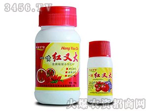 ����һ���t-���r(n��ng)����