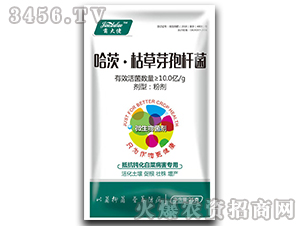 ���ġ��ݲ�ѿ�ߗU�����ײ˲������ã�-������-�����f��