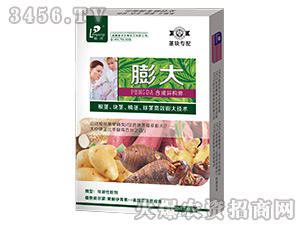 �o�K�������-���_��