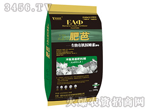 �ʰ�-���_��