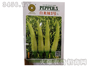 ������3̖-�����N��-�A��N�I(y��)