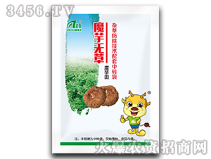 ħ��o��-ħ�����s�ݷ������g(sh��)�������D(zhu��n)��-���r(n��ng)