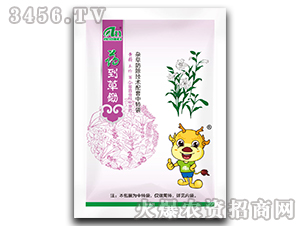 ˎ�����z-�S������-���r(n��ng)