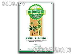 �ؘǌ��ó��݄�-���g�Ե�