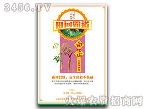 ���ƌ��ó��݄�-���g�Ե�