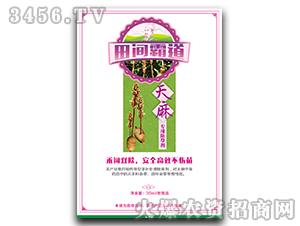 ���錣�ó��݄�-���g�Ե�