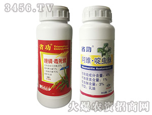 ���S����x��+���ס�������-ʡ��-����