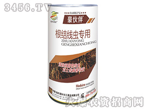 ���Y(ji��)���x����΢�������-�����-����