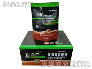 �VԴ�S�����-��(y��u)�V-�G����