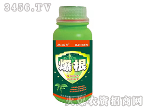 ����-�����a-���ؿ�