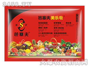 ���a(ch��n)�ײ�-������-������