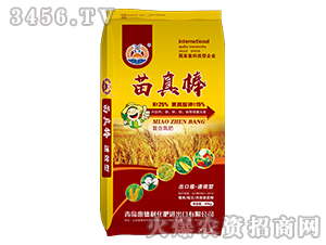 ��(f��)�ϵ���-�����-�ݵ���