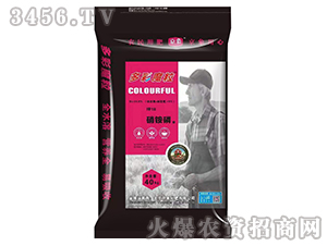 ���@�׷�-���ħ��-����