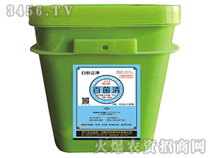 �׾���-�׷�����-���Z