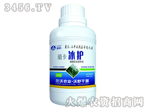 ֲ��������o(h��)��-�m�����o(h��)-�m���r(n��ng)�I(y��)