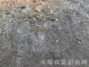 ΢�������-��Ⱥ�r(n��ng)�I(y��)