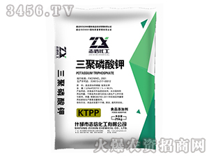 ���������-־�Ż���-�|������