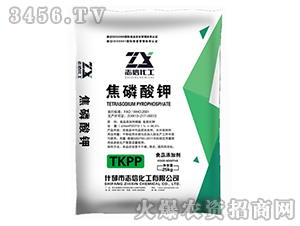 �������-־�Ż���-�|������