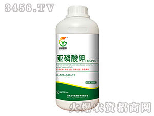 �������0-520-340+TE-Ԫ��ֲ��