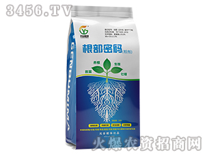 �����ܴa-Ԫ��ֲ��