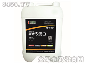 ���Զ���ֲ���}����-ֲ��̩-���r(n��ng)��ʢ