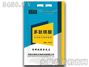 ���ĺ���-�ֶ���