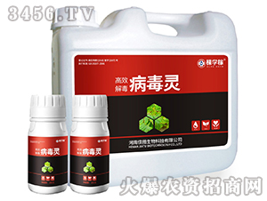 �����`-�ÌW(xu��)��