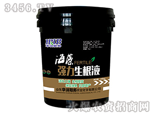 ���及(qi��ng)������Һ-�A���s��